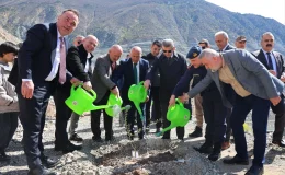 Artvin’de Butko Zeytini Üretimi Hızla Yaygınlaşıyor